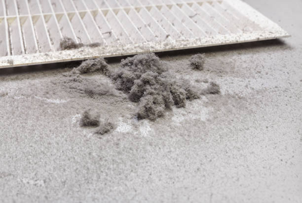 Best Residential Air Duct Cleaning  in Ellisville, MO