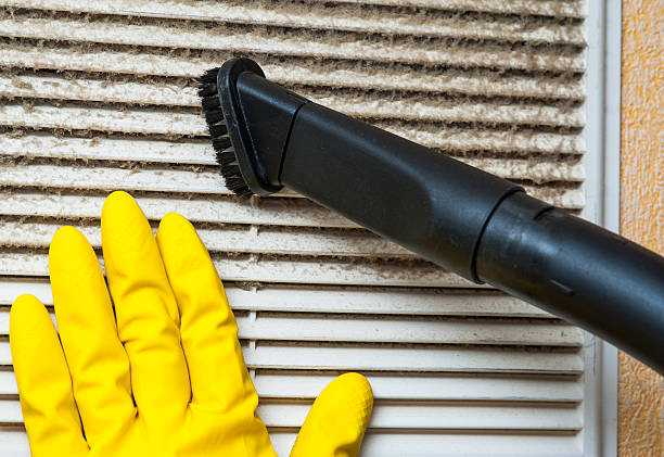 Best Local Air Duct Cleaning Services  in Ellisville, MO